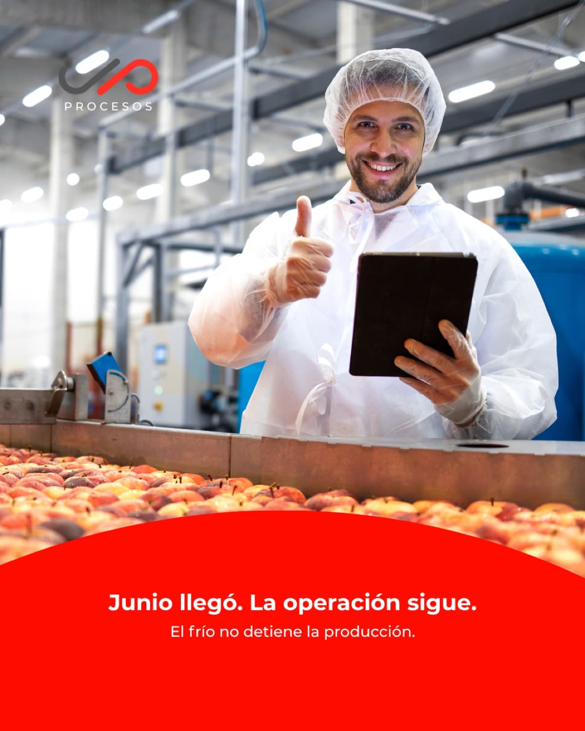 JP Procesos — Muller y Pérez